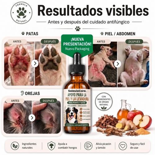 Gotero Perros