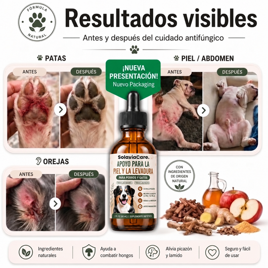 Gotero Perros